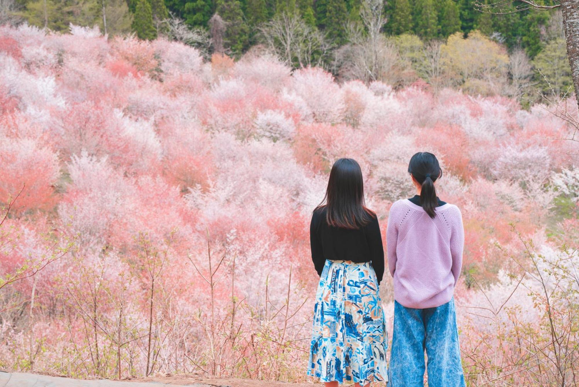 Urabandai Lake Resort Geihinkan Nekoma Rikyu Kitashiobara Exteriér fotografie