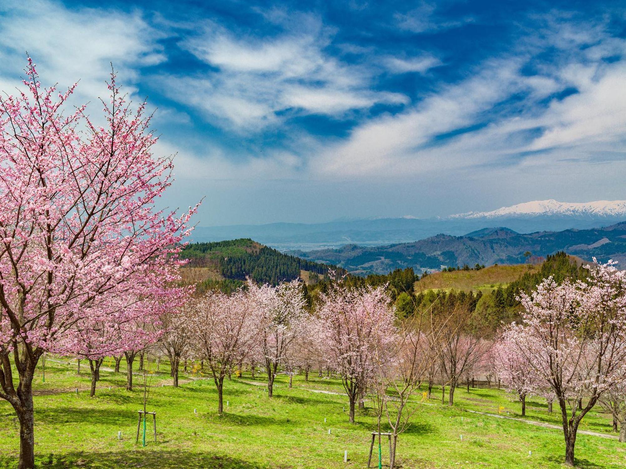 Urabandai Lake Resort Geihinkan Nekoma Rikyu Kitashiobara Exteriér fotografie