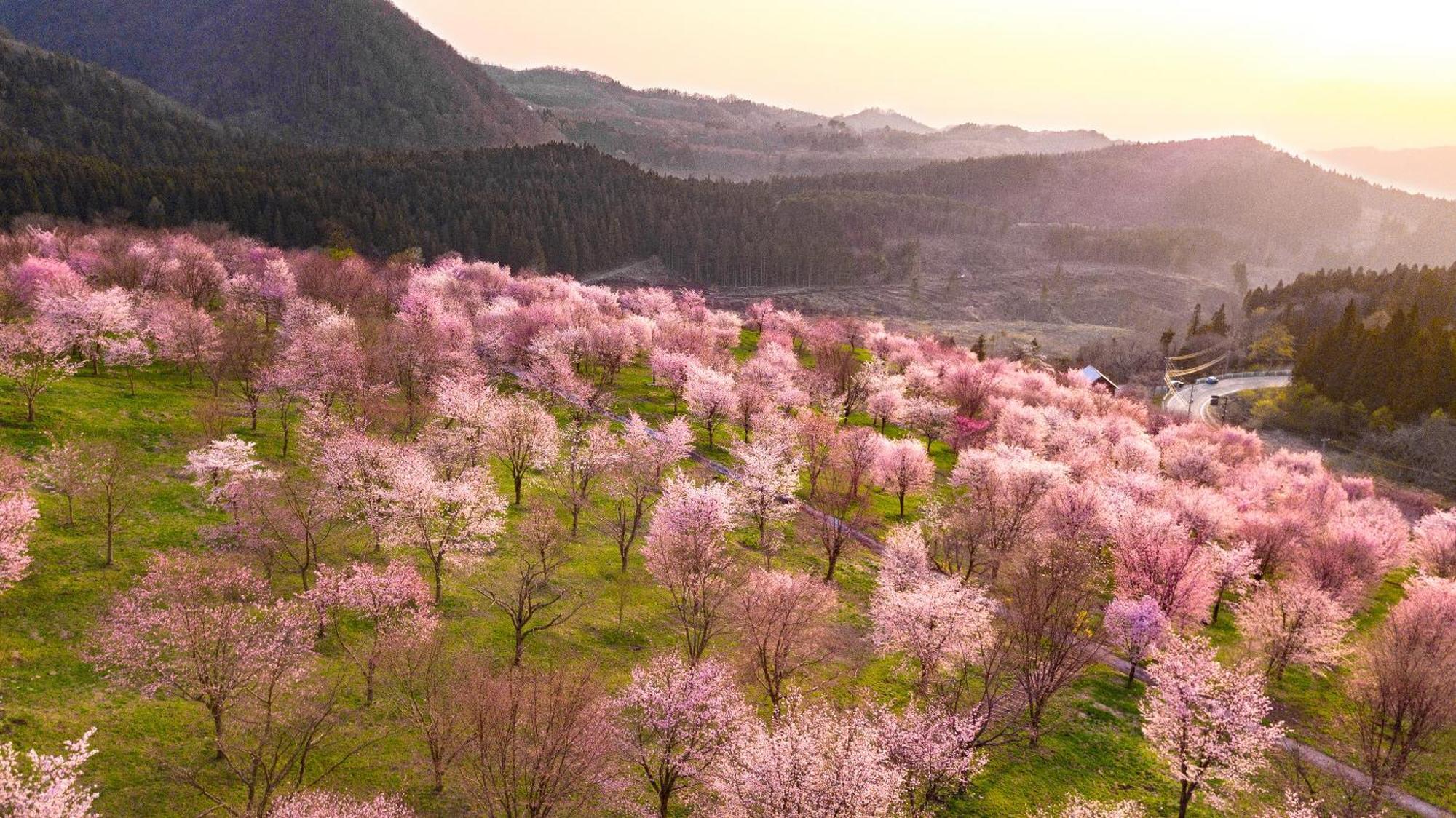 Urabandai Lake Resort Geihinkan Nekoma Rikyu Kitashiobara Exteriér fotografie